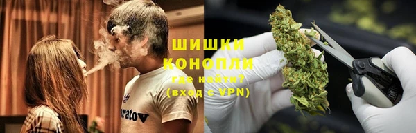 ГАЛЛЮЦИНОГЕННЫЕ ГРИБЫ Лагань