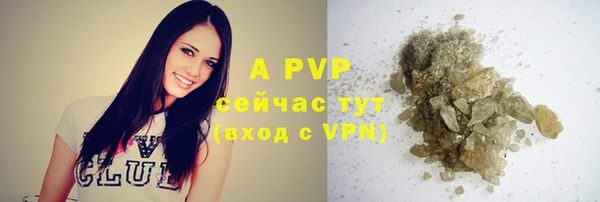 ГАЛЛЮЦИНОГЕННЫЕ ГРИБЫ Лагань