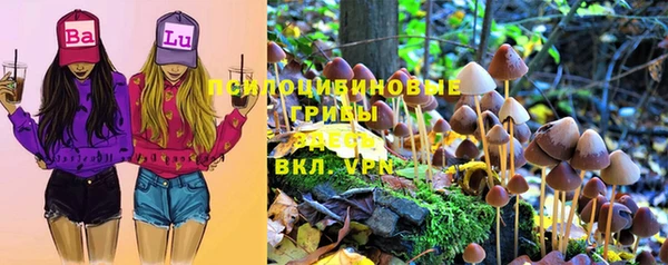 кокаин перу Ладушкин