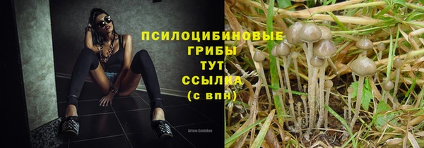 кокаин перу Ладушкин