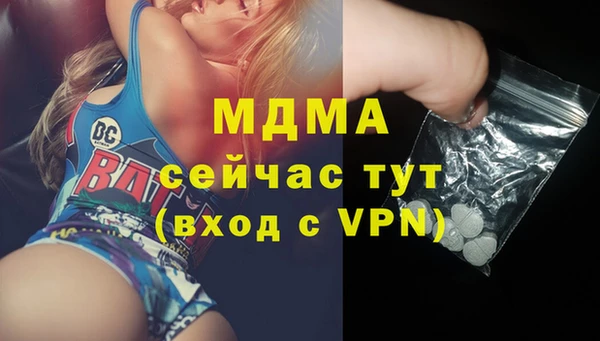 ГАЛЛЮЦИНОГЕННЫЕ ГРИБЫ Лагань