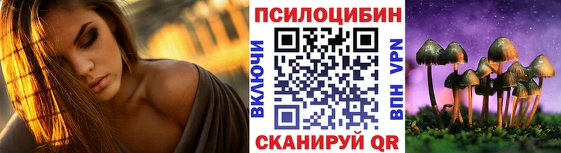 Галлюциногенные грибы Magic Shrooms  Купить  Новозыбков 