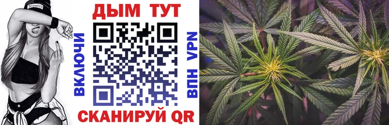 Канабис ГИДРОПОН  Купить закладки  Новозыбков 